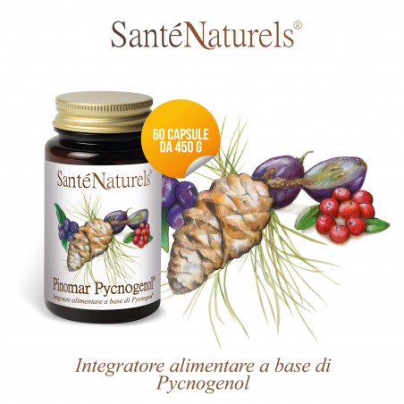 pycnogenol capsule