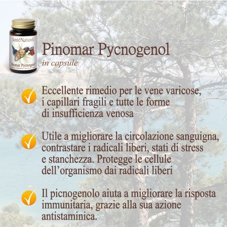 pycnogenol compresse