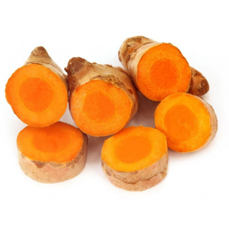 Curcuma