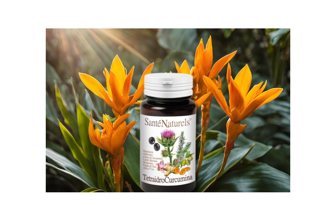 Tetraidrocurcumina. L'evoluzione della Curcumina